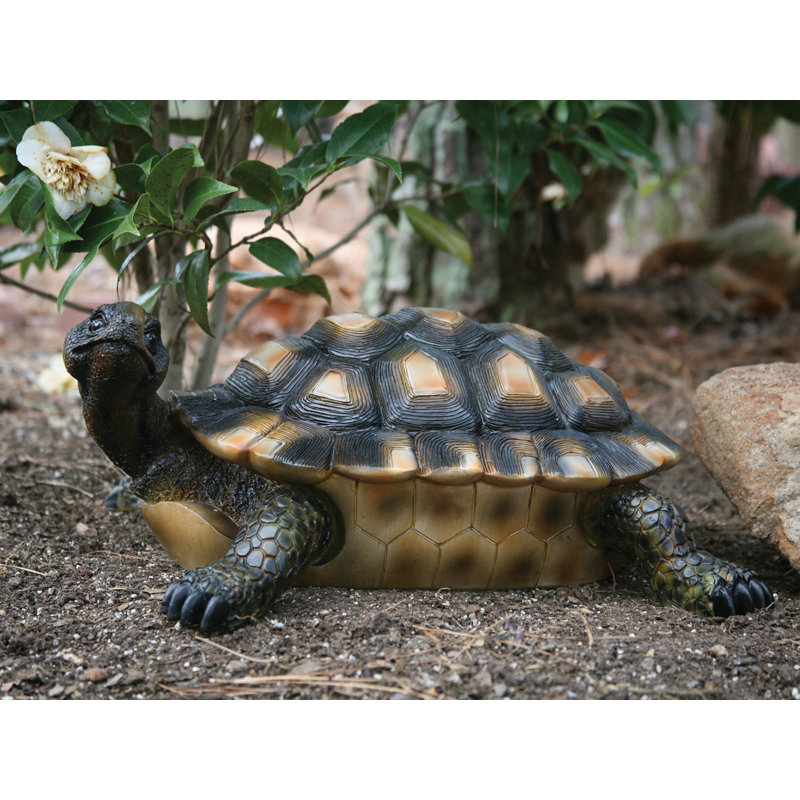 Michael Carr Oconnor Turtle Lawn Ornament & Reviews Wayfair